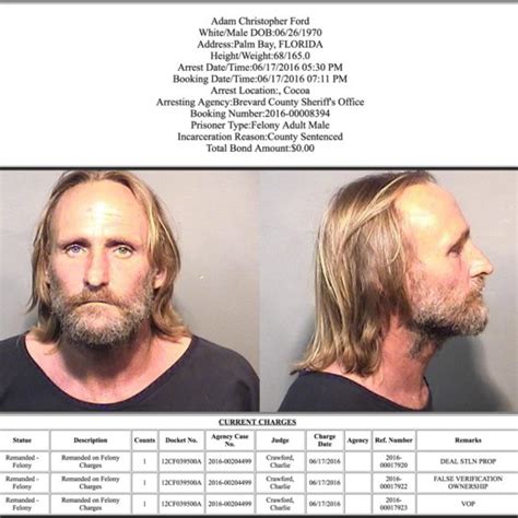 bcso mugshots.